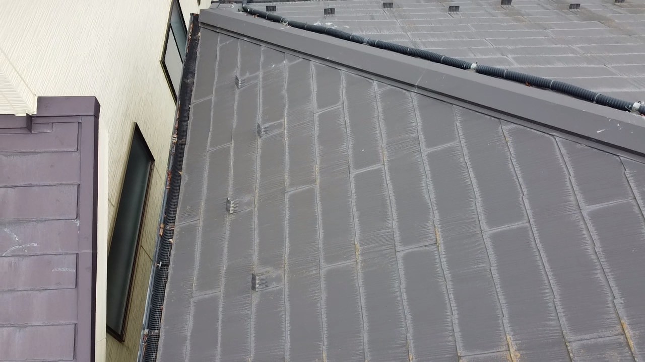 落ち葉よけネットがついている軒樋